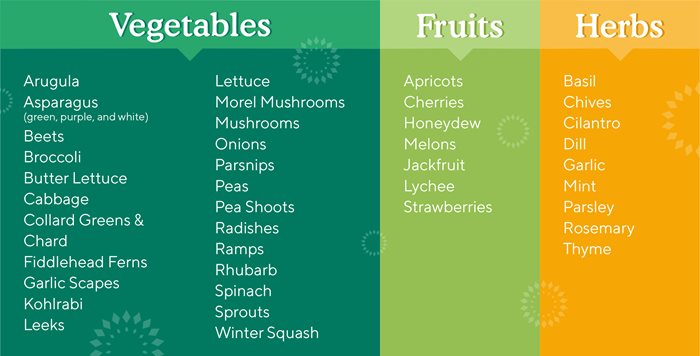 Spring-Produce-Chart.jpg