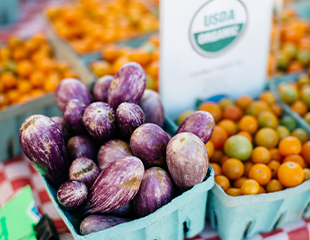 Untitled-1.png Fresh organic eggplants and tomatoes are a part of supporting regenerative culture