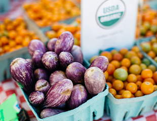 Fresh organic eggplants and tomatoes are a part of supporting regenerative culture