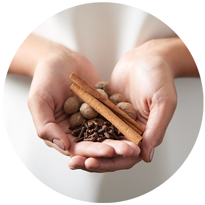 Organic Spices ingredient being cradled in hands, nothing artificial ever