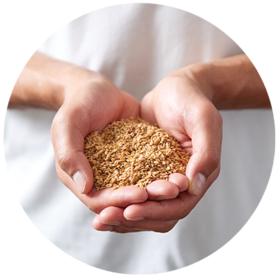Flax Seeds ingredient being cradled in hands, nothing artificial ever