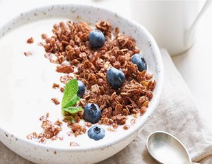 A bowl of yogurt, granola and blueberries contains beneficial flora 