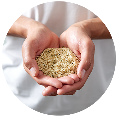 Hemp Seed ingredient being cradled in hands, nothing artificial ever