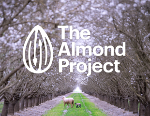 How We're Revolutionizing California Almond Farming