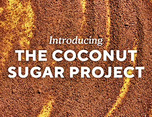 Advancing Regenerative Agriculture in Indonesian Coconut Sugar Communities